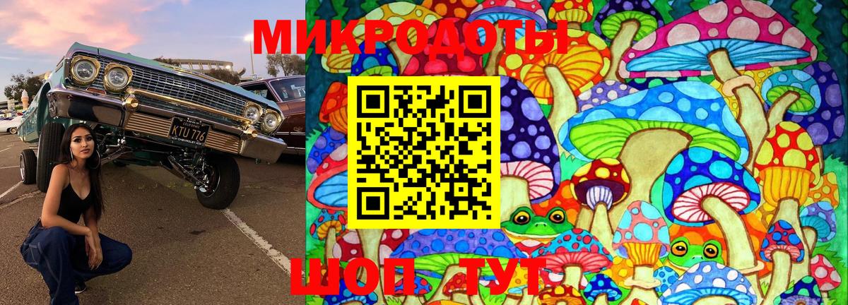 Галлюциногенные грибы мухоморы Ростов Великий